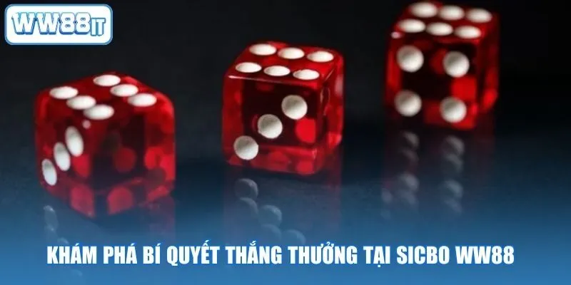 Khám Phá Bí Quyết Thắng Thưởng Tại Sicbo WW88