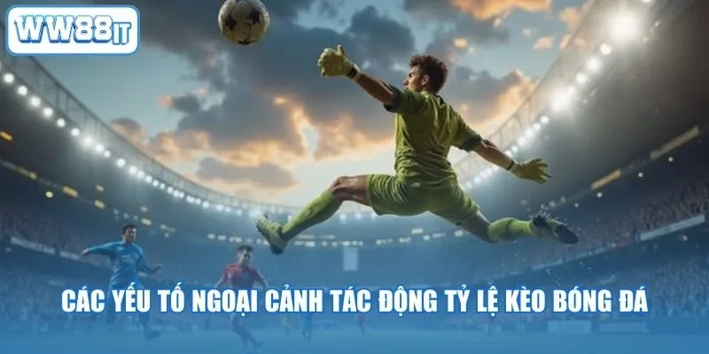 Các yếu tố ngoại cảnh tác động tỷ lệ kèo bóng đá