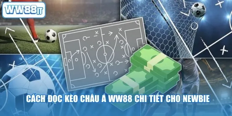 Cách đọc kèo châu Á WW88 chi tiết cho newbie
